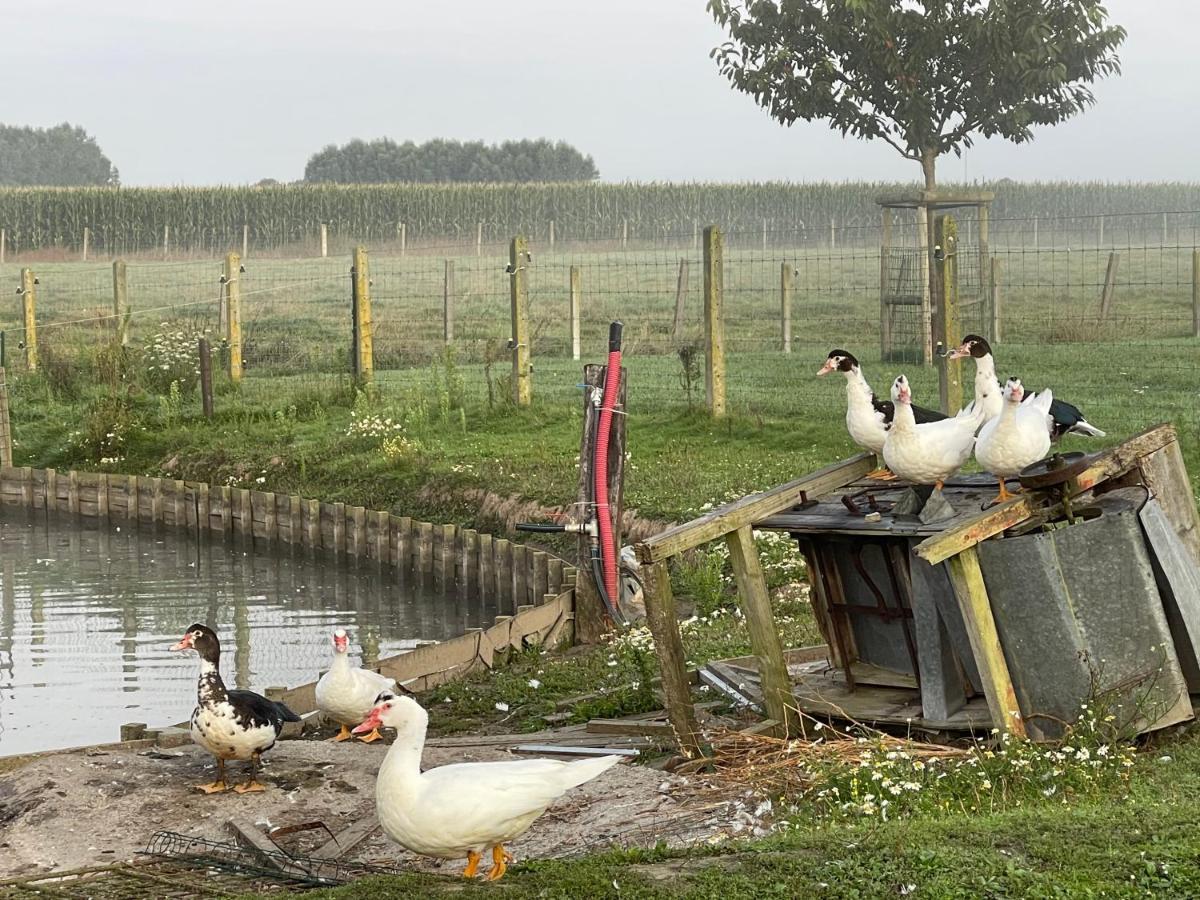 Parel Van Bever - Perle De Bievene Exteriör bild