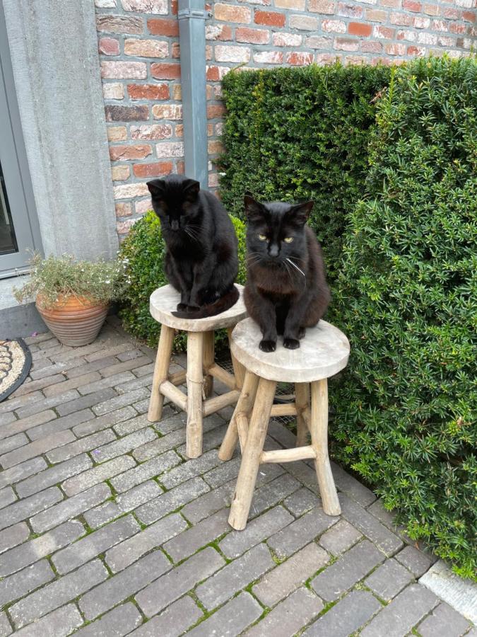Parel Van Bever - Perle De Bievene Exteriör bild