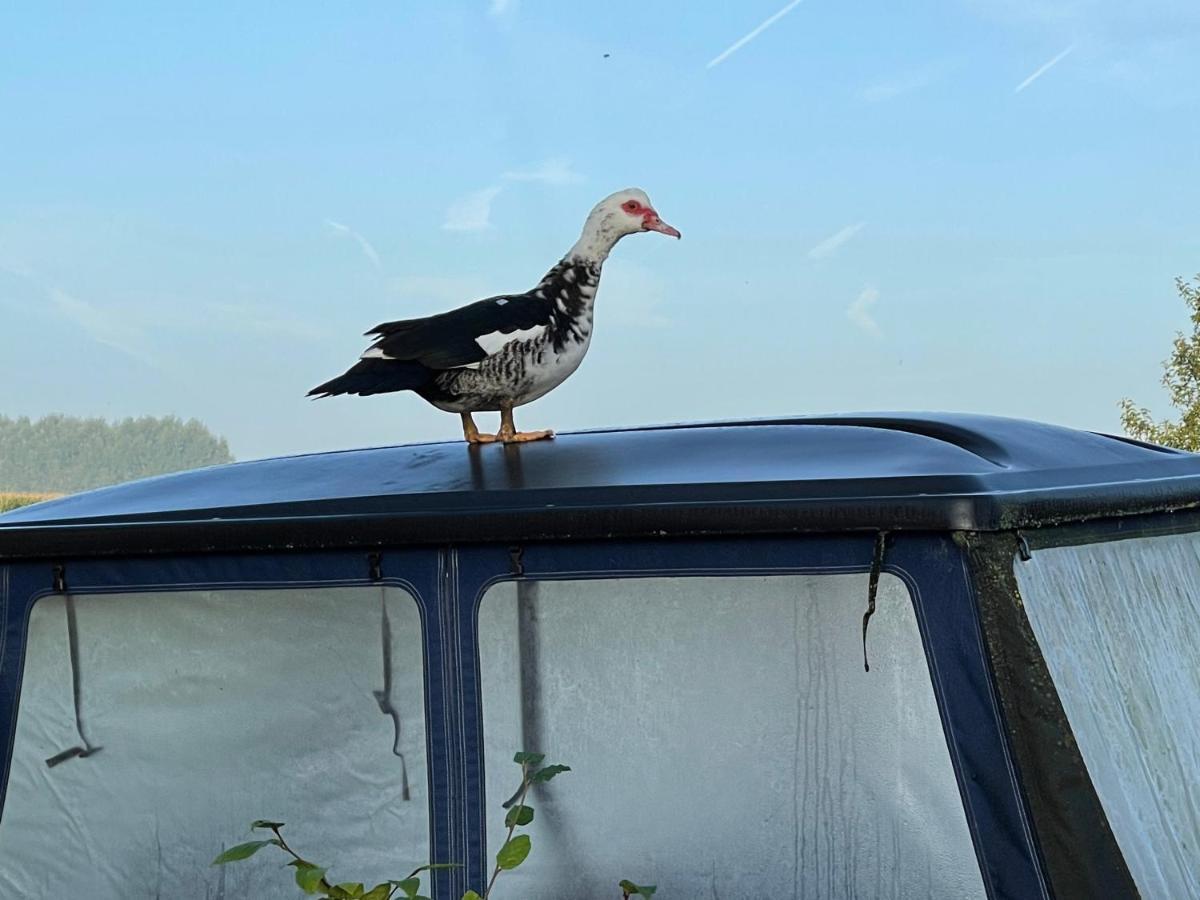 Parel Van Bever - Perle De Bievene Exteriör bild